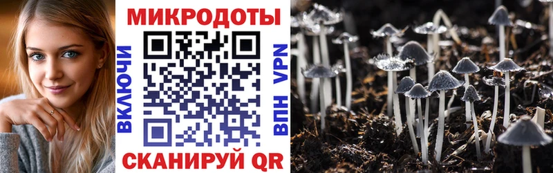 кракен вход  хочу наркоту  Чегем  Галлюциногенные грибы Psilocybine cubensis 